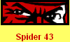 Spider 43